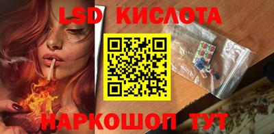 прущие грибы Кандалакша
