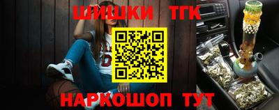 прущие грибы Кандалакша