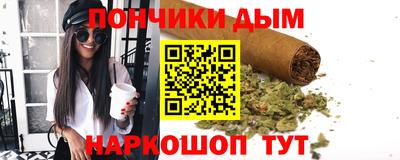 прущие грибы Кандалакша