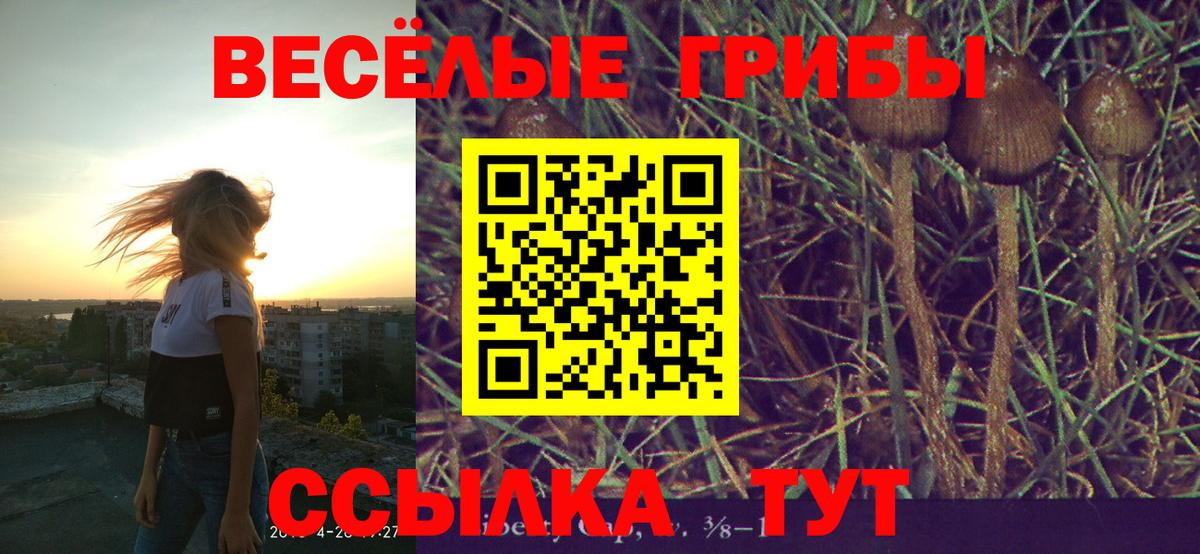 Лениногорск  Псилоцибиновые грибы Psilocybine cubensis  наркошоп  Вход с VPN 